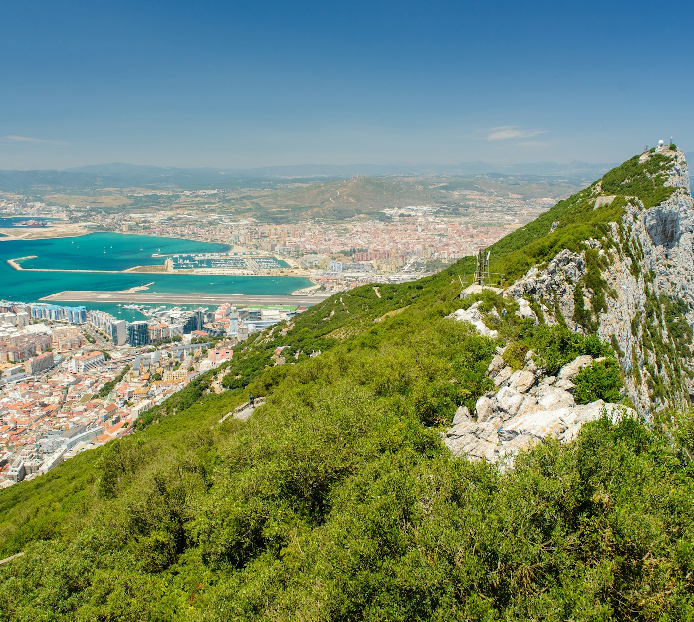 Green trees covering a mountain