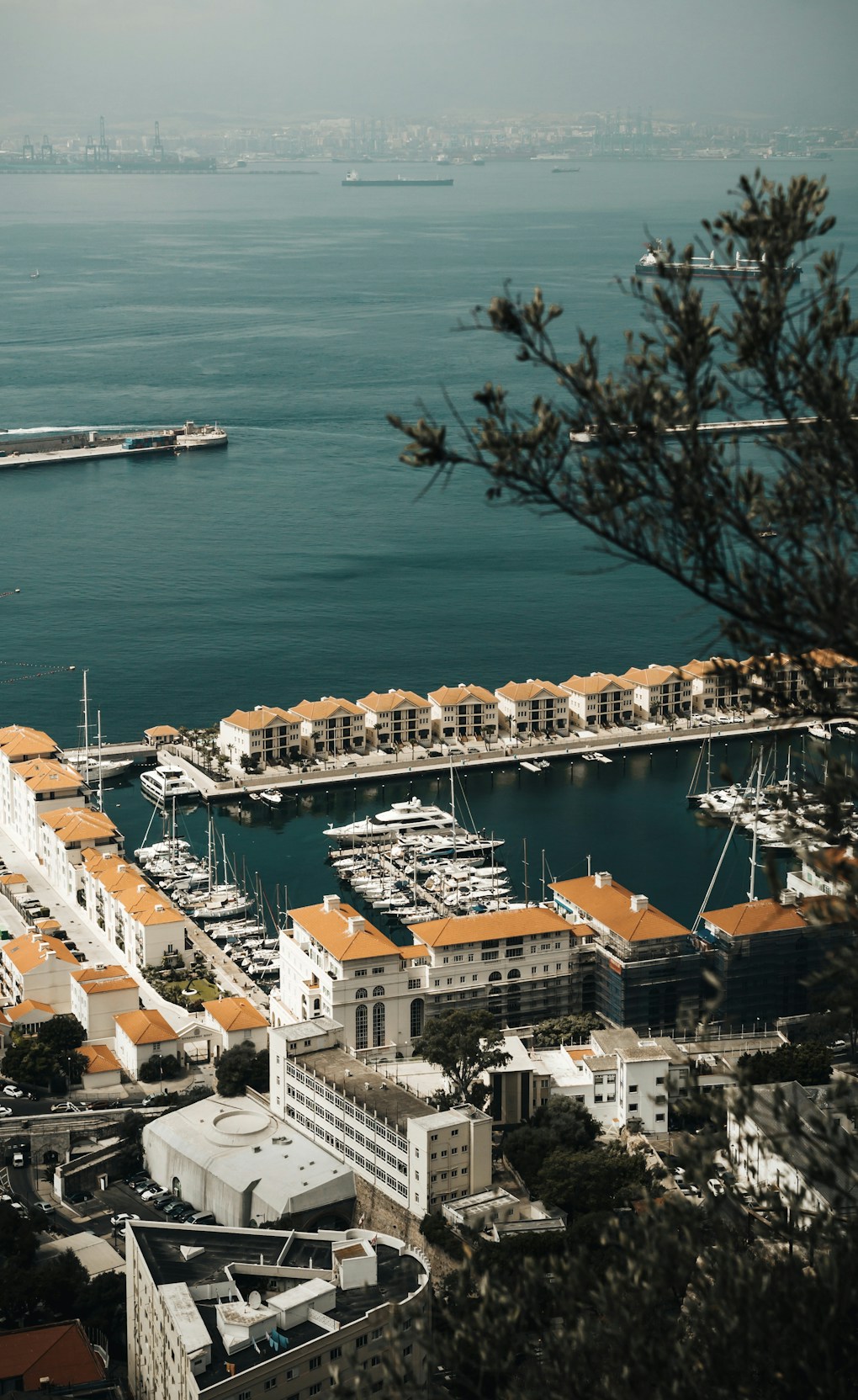 Aerial view of city buildings near a body of water during daytime